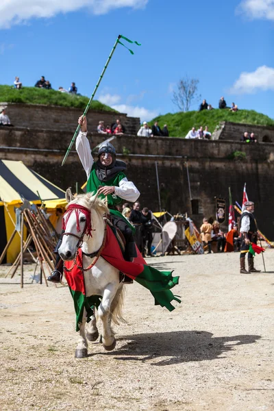 Victorious Knight — Stock Photo, Image