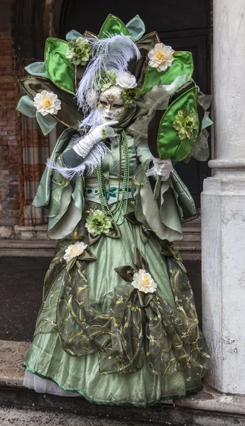 Complex Green Venetian Disguise — Stock Photo, Image