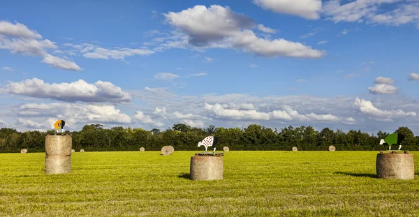 Hay bales during Le Tour de France — Stock Photo, Image