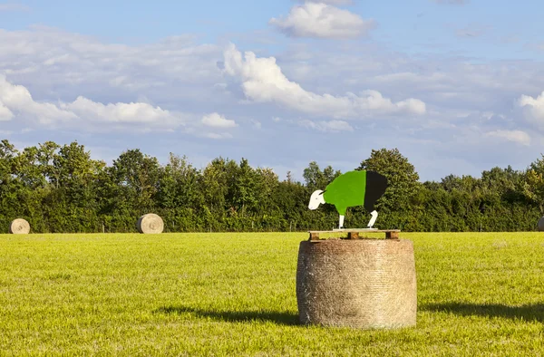 Hay bales during Le Tour de France — Stock Photo, Image