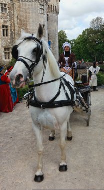 Ortaçağ kadın at arabası