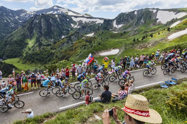 peloton pyrenees içinde