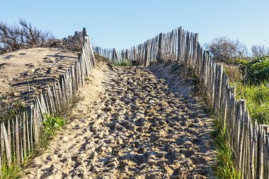 Patika üzerinde Atlantik dune Brittany