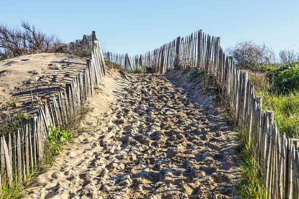 Passo a passo sobre a duna atlântica na Bretanha — Fotografia de Stock