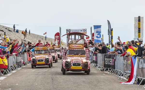 Cochonou auta během tour de france — Stock fotografie