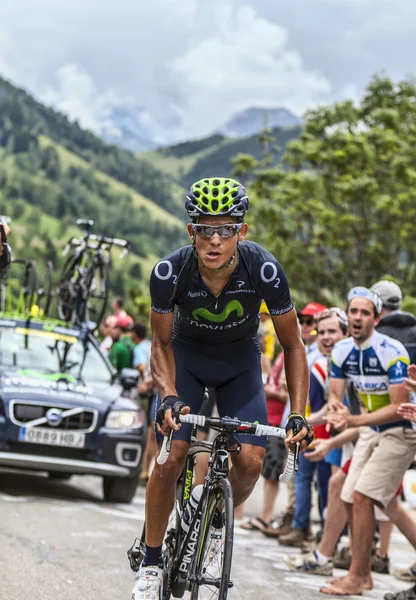 Andrey Amador Climbing Alpe D'Dhuez — Stock Photo, Image