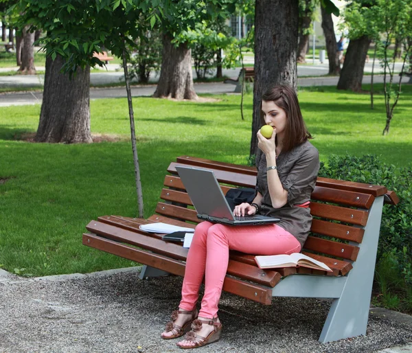 公園で勉強している若い女性 — ストック写真