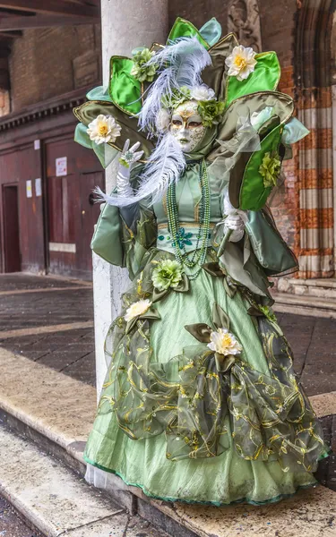 Complex Green Venetian Disguise — Stock Photo, Image