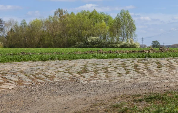 Cobbelstone weg — Stockfoto