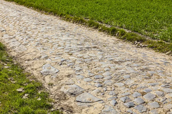 Cobbelstone väg — Stockfoto