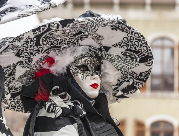 Portrait of a Disguised Person with a Big Hat — Stock Photo, Image