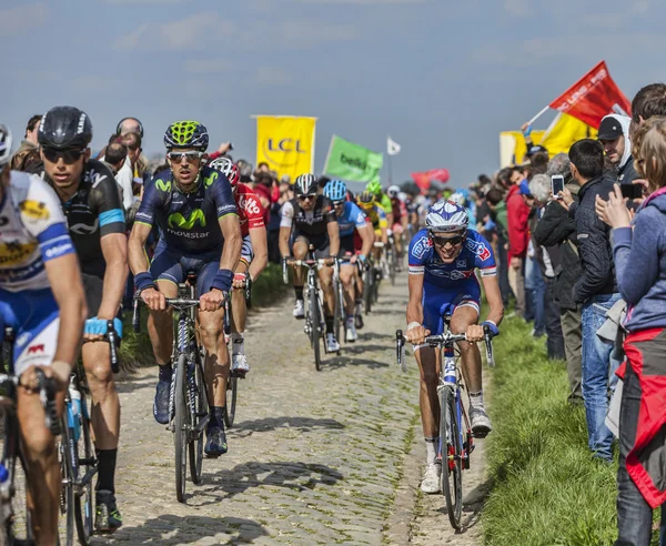 2014 peloton paris roubaix — Stok fotoğraf