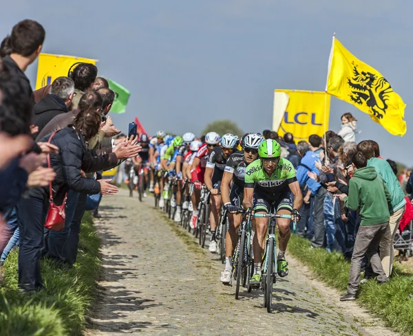 El Pelotón - Paris Roubaix 2014 — Foto de Stock