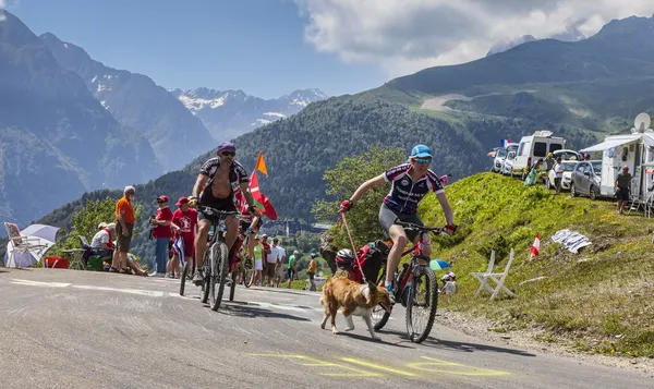 Ciclistas aficionados en Pirineos Montañas —  Fotos de Stock