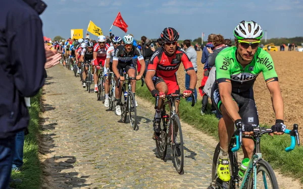 Carrefour Arbre Francja Kwietnia 2014 Jazda Pelotonie Słynnym Brukowcu Carrefour — Zdjęcie stockowe