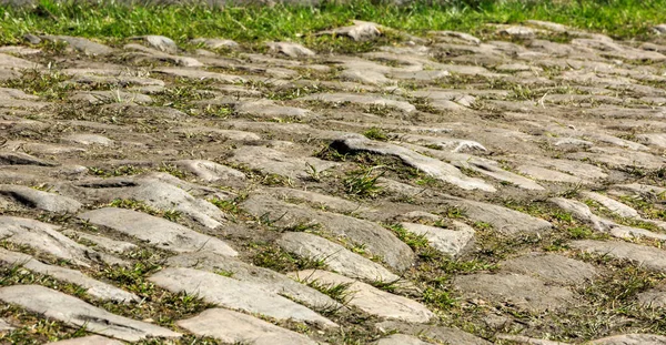 フランス北部のライズム アマン ヴァールの森の中にある有名な石畳の道 アーレンベルク ギャップ の詳細 毎年このような道路では 1日サイクリングレースパリ Roubaix組織化されています — ストック写真