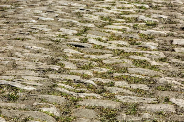 Detail Der Berühmten Kopfsteinpflasterstraße Arenberglücke Wald Von Raismes Saint Amand — Stockfoto