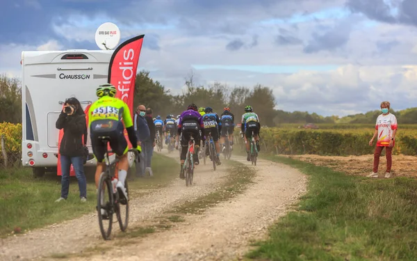 Noizay Frankreich Oktober 2020 Rückansicht Des Pelotons Den Weinbergen Bei — Stockfoto