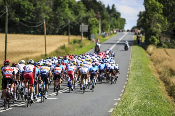 Les Vignes Chateau France 1Er Juillet 2021 Image Arrière Peloton — Photo