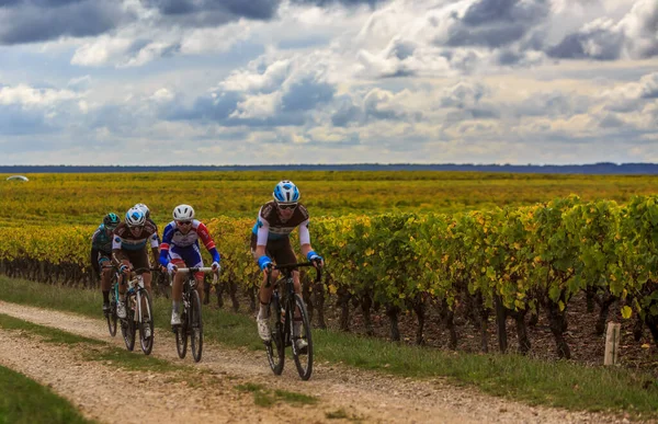 Нуазай Франция Октября 2020 Года Группа Велосипедистов Катающихся Виноградниках Течение — стоковое фото