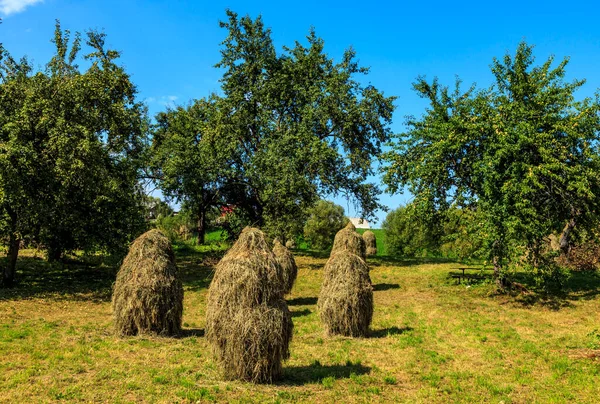 Romanya Nın Bukovina Kentinin Arka Bahçesinde Bir Grup Saman Yığını — Stok fotoğraf