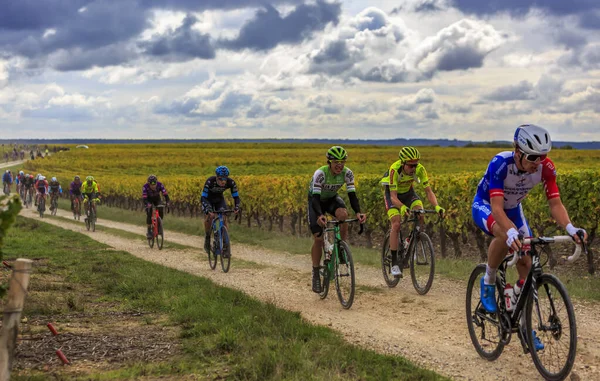 Noizay Francia Octubre 2020 Pelotón Los Viñedos Durante Paris Tours — Foto de Stock