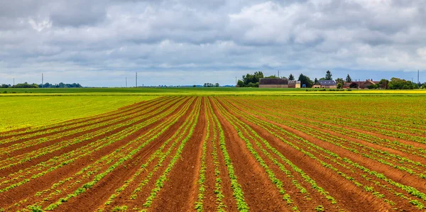 Lente Landbouwlandschap Perche Regio Centraal Frankrijk Dit Beeld Maakt Deel — Stockfoto