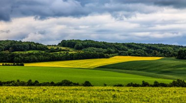 Cnetral Fransa 'nın Perche bölgesindeki güzel yeşil alan manzarası.