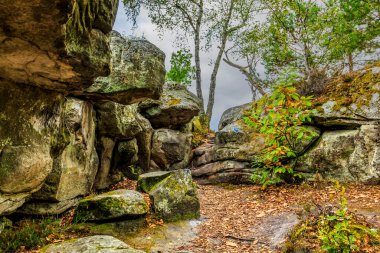 Specific landscape with rocks and forest in Fontainebleau Forest 60 km from Paris, France. The forest is close to Barbizon where it was a famous paiting school and it is the most popular bouldering destination in the world.