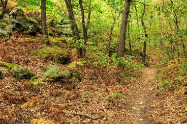 Specific landscape with rocks and forest in Fontainebleau Forest 60 km from Paris, France. The forest is close to Barbizon where it was a famous paiting school and it is the most popular bouldering destination in the world.