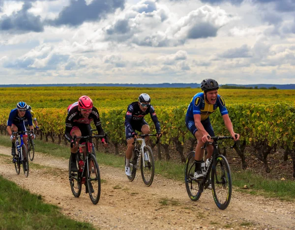 Noizay Francia Octubre 2020 Pelotón Los Viñedos Durante Paris Tours —  Fotos de Stock