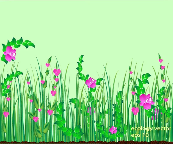 Herbe fleurs nature — Image vectorielle