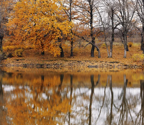 Herbst — Stockfoto