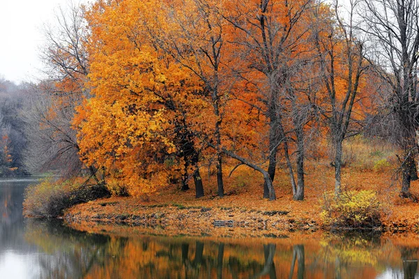 Sonbahar — Stok fotoğraf