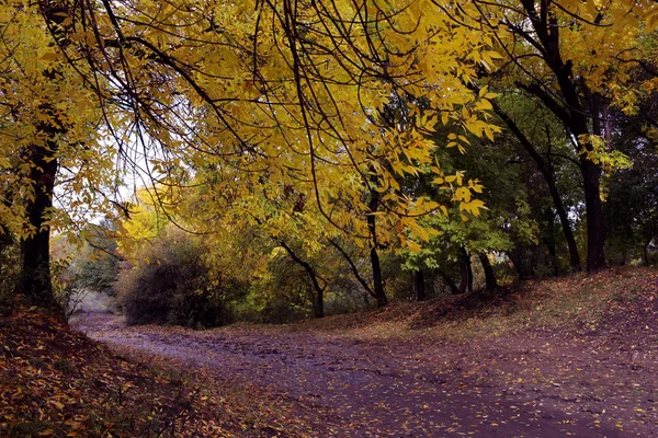 Otoño — Foto de Stock