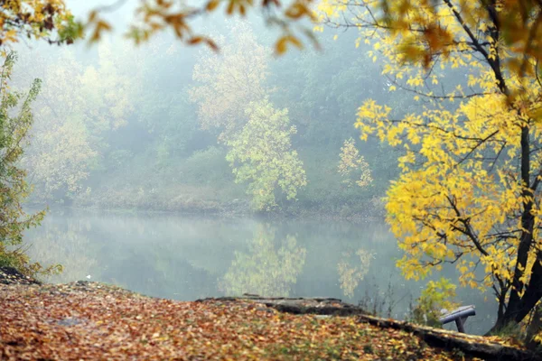 Herbst — Stockfoto