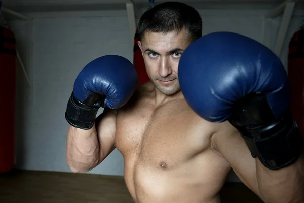 Boxer trains — Stock Photo, Image