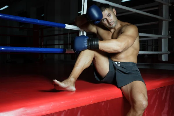 Boxer trains — Stock Photo, Image