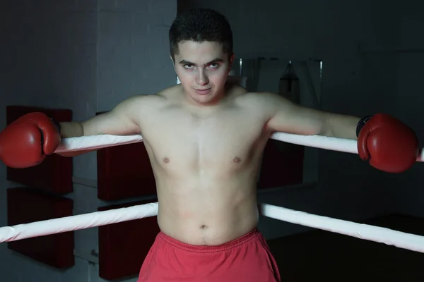 Boxer vlaky — Stock fotografie