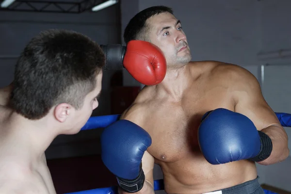 Dva boxeři v tréninku — Stock fotografie