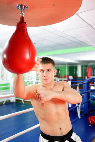 -bokser die traint in de fitnessruimte — Stockfoto