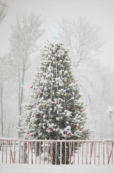 Sokakta Kardaki Kış Ağacı Oyuncaklar Bir Yıldızla Süslenmiş — Stok fotoğraf
