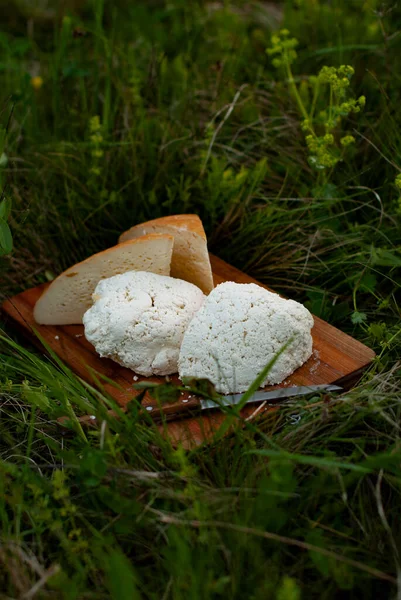 Ökologisches Produkt Bergkäse Ziegen Und Schafskäse Ein Naturprodukt Der Hochlandwiesen Stockbild