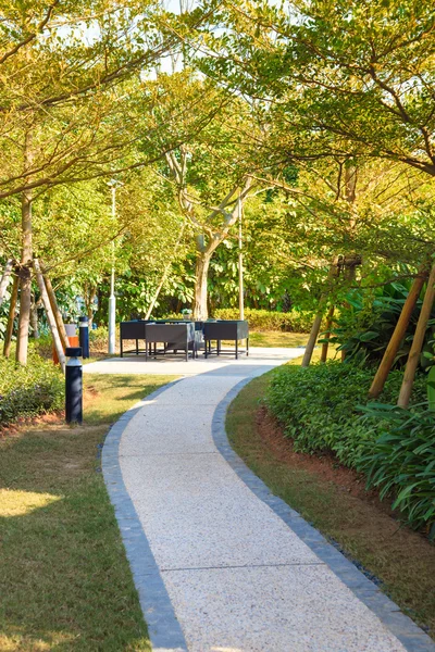 Rustige tuin met voetpad door middel van — Stockfoto