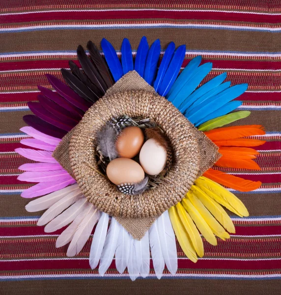 3 piume di arcobaleno del cestino delle uova — Foto Stock