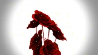 çiçekler animasyon