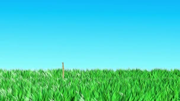 Анимация травяной петли — стоковое видео