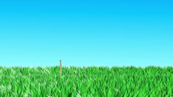 Gras lus animatie — Stockvideo