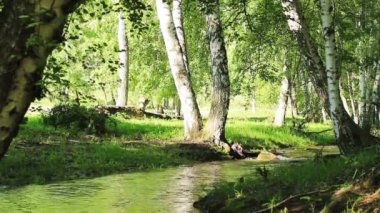Dağ nehri