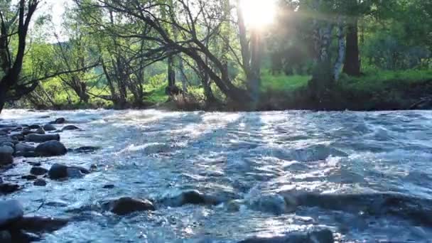 Fiume di montagna — Video Stock